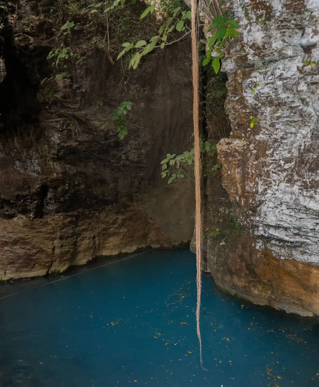 Historia de Catarata La Leona — Ecoturismo en Liberia, Guanacaste